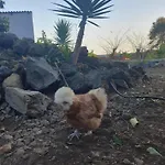 Casas Asomada *