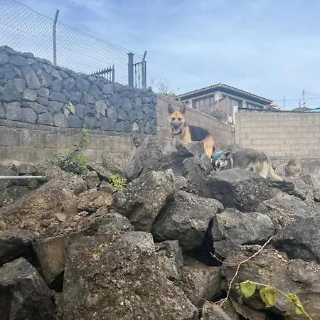 Semesterbostad Casas Asomada